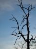 Файл=DSC03772.JPG
Объём=112KB
Размеры=768x1024
Дата=Янв 13, 2005 DSC03772.JPG