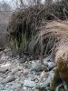 Файл=DSC03840.JPG
Объём=317KB
Размеры=768x1024
Дата=Янв 13, 2005 DSC03840.JPG
