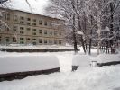 _P1010022.jpg