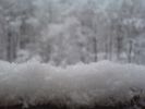 Файл=DSC00126.jpg
Объём=120KB
Размеры=1024x768
Дата=Нояб 29, 2006 DSC00126.jpg