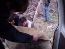 Файл=P5040021.JPG
Объём=459KB
Размеры=1600x1200
Дата=Окт 12, 2004 P5040021.JPG