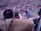 Файл=P5040022.JPG
Объём=522KB
Размеры=1600x1200
Дата=Окт 12, 2004 P5040022.JPG