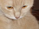 Файл=DSC01422.JPG
Объём=519KB
Размеры=1280x960
Дата=Окт 17, 2004 DSC01422.JPG