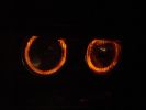 DSC01869-vi.jpg
