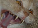 Файл=DSC06513.JPG
Объём=311KB
Размеры=1280x960
Дата=Окт 17, 2004 DSC06513.JPG