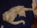 Файл=DSC06668.jpg
Объём=126KB
Размеры=1280x960
Дата=Окт 17, 2004 DSC06668.jpg
