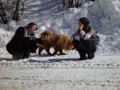 Файл=DSC03976.jpg
Объём=717KB
Размеры=2048x1536
Дата=Дек 02, 2004 DSC03976.jpg