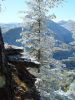 Файл=DSC08428~0.jpg
Объём=323KB
Размеры=900x1200
Дата=Дек 02, 2004 DSC08428~0.jpg