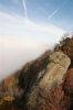 Filename=DSC_0110.JPG
Filesize=34KB
Dimensions=319x480
Date added=Nov 29, 2005 DSC_0110.JPG