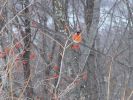 Файл=DSC03919.JPG
Объём=189KB
Размеры=886x664
Дата=Дек 03, 2004 DSC03919.JPG