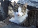 Файл=DSCF8275.jpg
Объём=459KB
Размеры=800x600
Дата=Нояб 09, 2007 DSCF8275.jpg