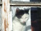 Файл=DSCF8280.jpg
Объём=425KB
Размеры=800x600
Дата=Нояб 09, 2007 DSCF8280.jpg