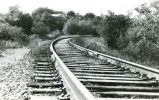 V086.jpg