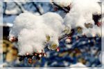 Файл=snowflow2.jpg
Объём=150KB
Размеры=1024x681
Дата=Дек 03, 2004 snowflow2.jpg