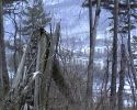 Файл=uvs060126-220.jpg
Объём=122KB
Размеры=720x576
Дата=Янв 31, 2006 uvs060126-220.jpg