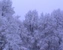 Файл=uvs060126-228.jpg
Объём=93KB
Размеры=720x576
Дата=Янв 31, 2006 uvs060126-228.jpg