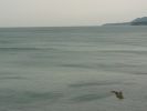 P1000543.jpg