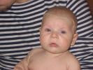 Файл=овий год2006 570.jpg
Объём=393KB
Размеры=760x570
Дата=Апр 12, 2006 овий год2006 570.jpg