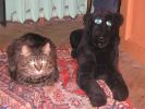 Файл=2007 387.jpg
Объём=277KB
Размеры=571x428
Дата=Фев 22, 2007 2007 387.jpg