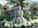 Файл=DSCF0006.JPG
Объём=205KB
Размеры=793x595
Дата=Фев 03, 2005 DSCF0006.JPG