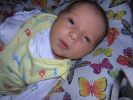 Файл=DSCN3590.JPG
Объём=608KB
Размеры=1600x1200
Дата=Апр 13, 2007 DSCN3590.JPG