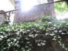 Файл=IMG_0514.JPG
Объём=798KB
Размеры=2048x1536
Дата=Окт 25, 2005 IMG_0514.JPG