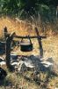 Файл=DSC_0142_ed.jpg
Объём=188KB
Размеры=530x800
Дата=Окт 02, 2006 DSC_0142_ed.jpg