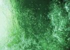 Файл=water.jpg
Объём=488KB
Размеры=1401x1000
Дата=Март 21, 2006 water.jpg