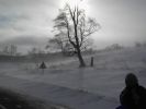 Файл=PICT0732.JPG
Объём=371KB
Размеры=1280x960
Дата=Янв 20, 2007 PICT0732.JPG