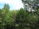 Файл=Изображение 060.jpg
Объём=368KB
Размеры=796x595
Дата=Май 30, 2006 Изображение 060.jpg